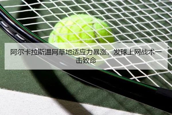a-er-ka-la-si-wen-wang-cao-di-shi-ying-li-bao-zhang-fa-qiu-shang-wang-zhan-shu-yi-ji-zhi-ming-2-860.jpg